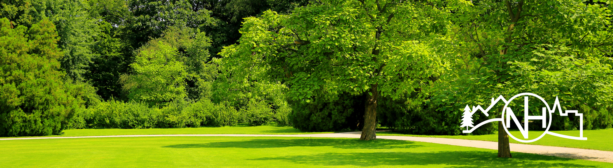 green trees in a city park - Innovative Garage Flooring New Hope epoxy flooring